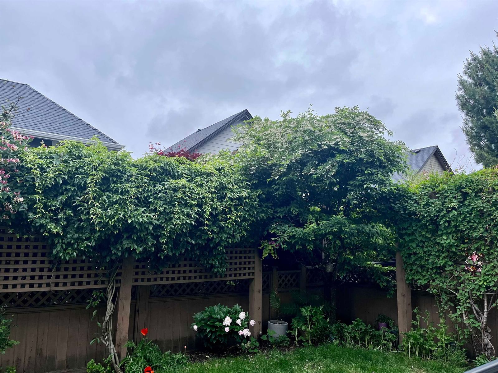 Listing Image 25