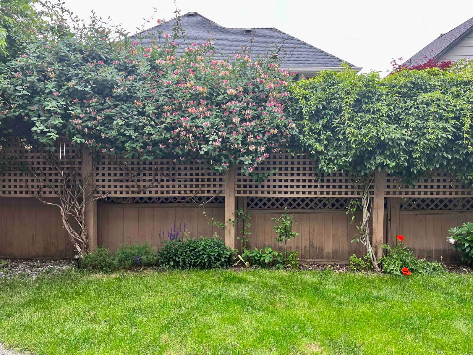 Listing Image 26