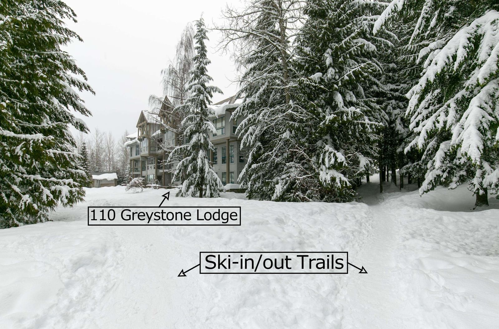 Listing Image 29