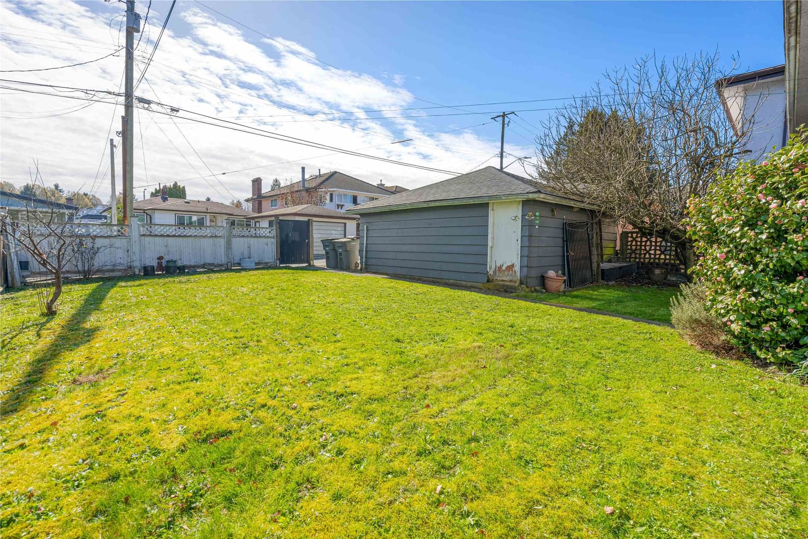 Listing Image 19