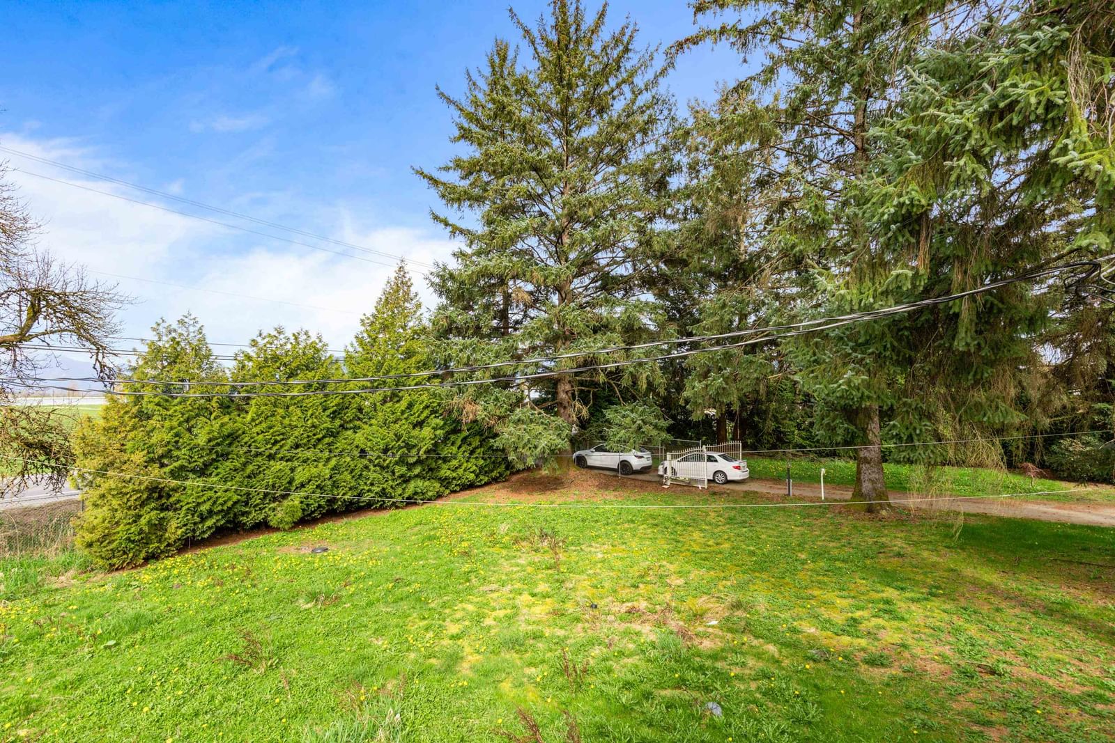 Listing Image 19