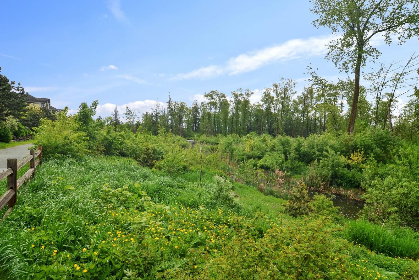 Listing Image 24