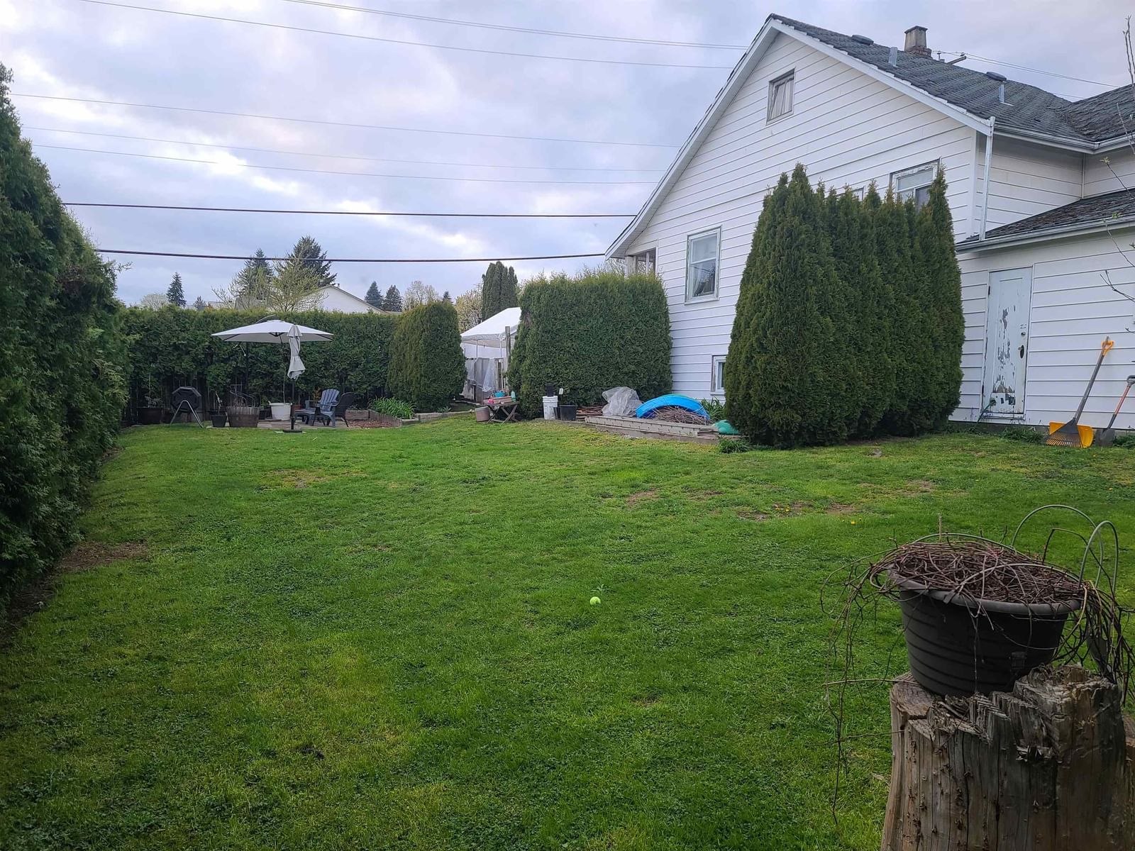 Listing Image 4