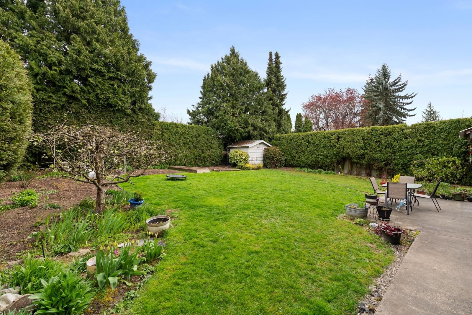 Listing Image 31