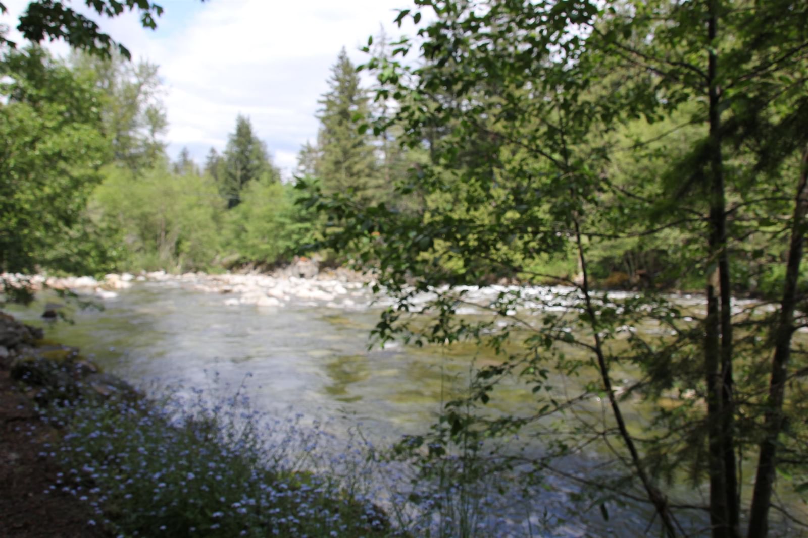 Listing Image 39