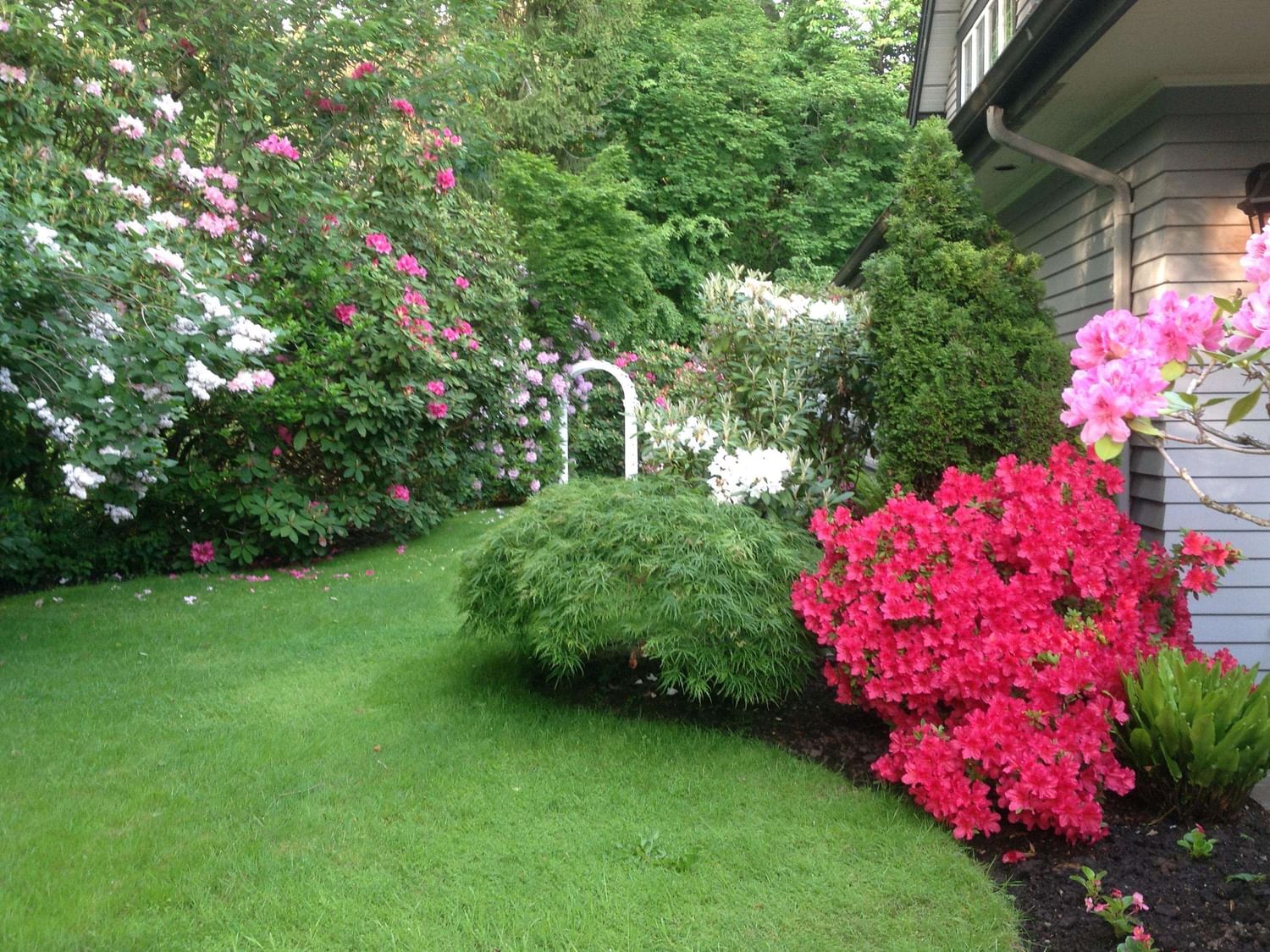 Listing Image 35