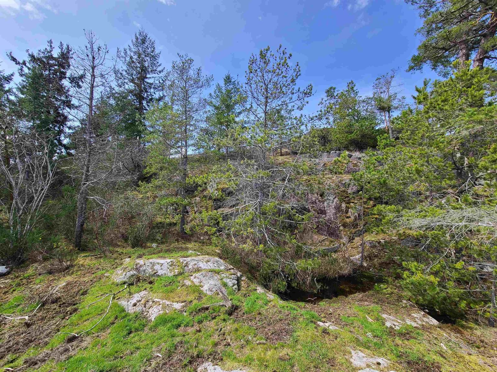 Listing Image 10
