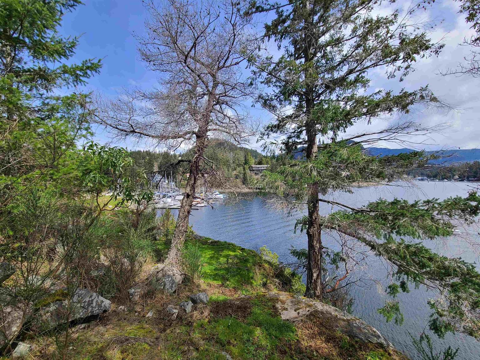 Listing Image 9