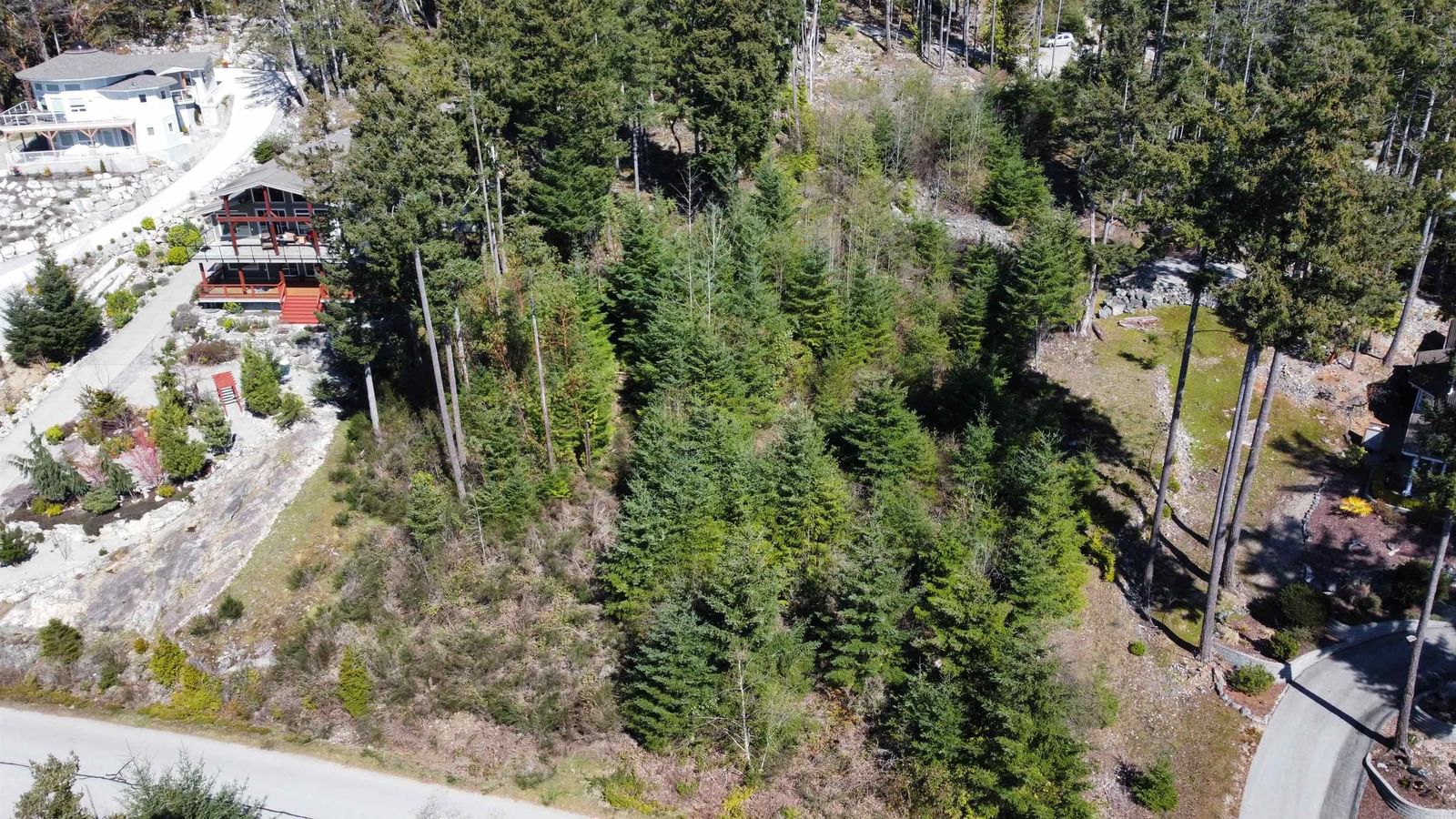 Listing Image 8