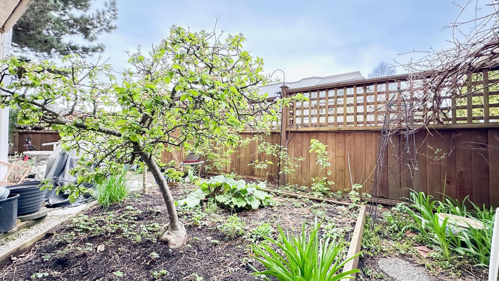 Listing Image 20