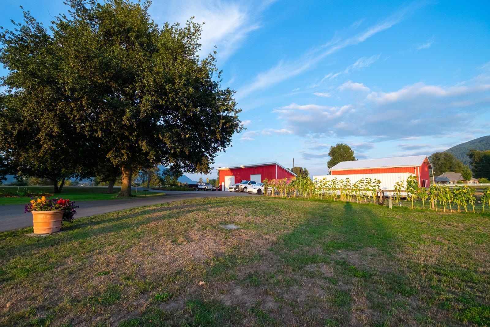 Listing Image 21