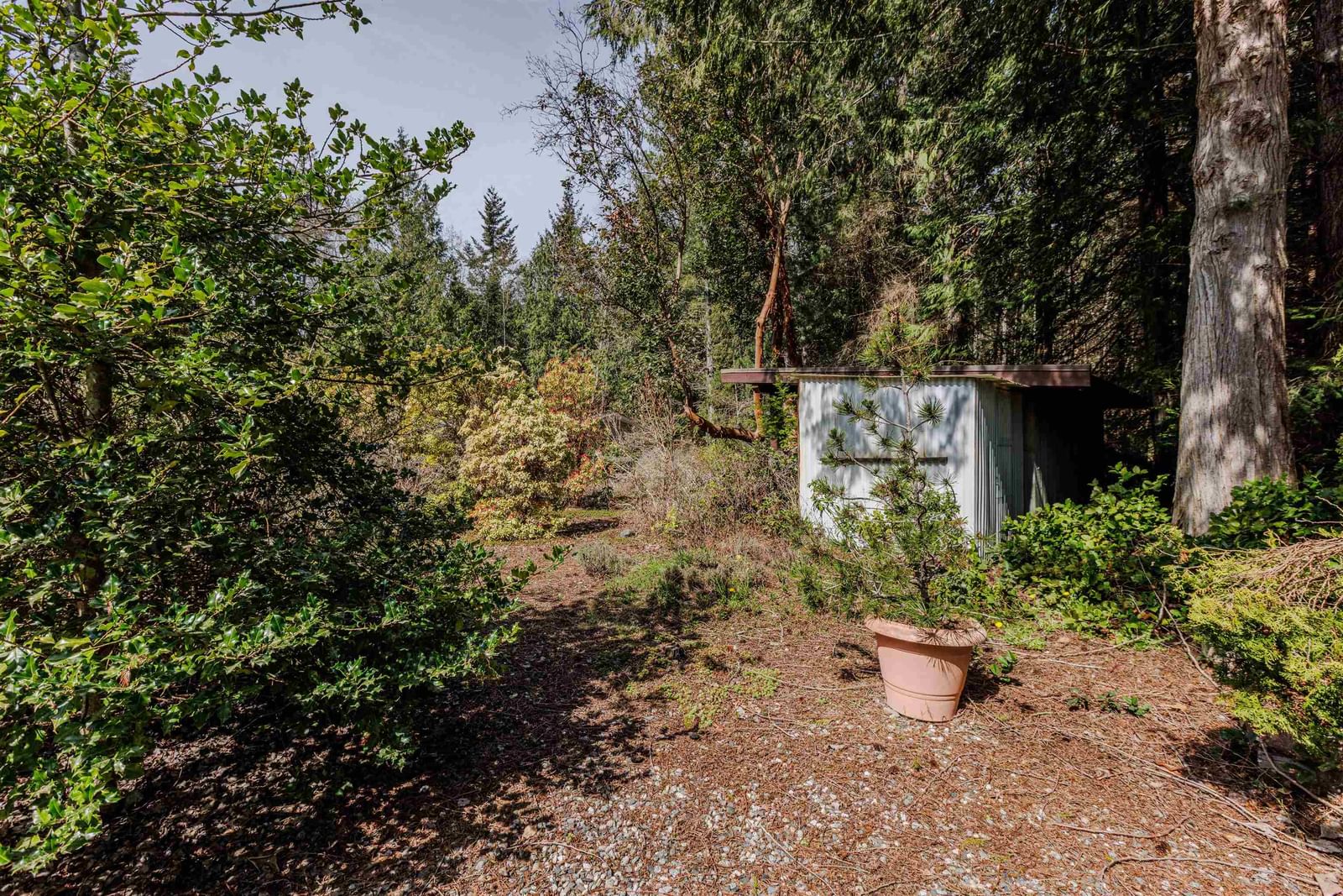 Listing Image 28