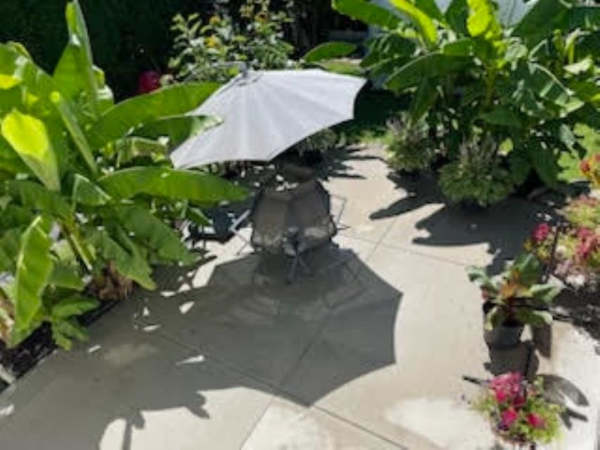 Listing Image 32