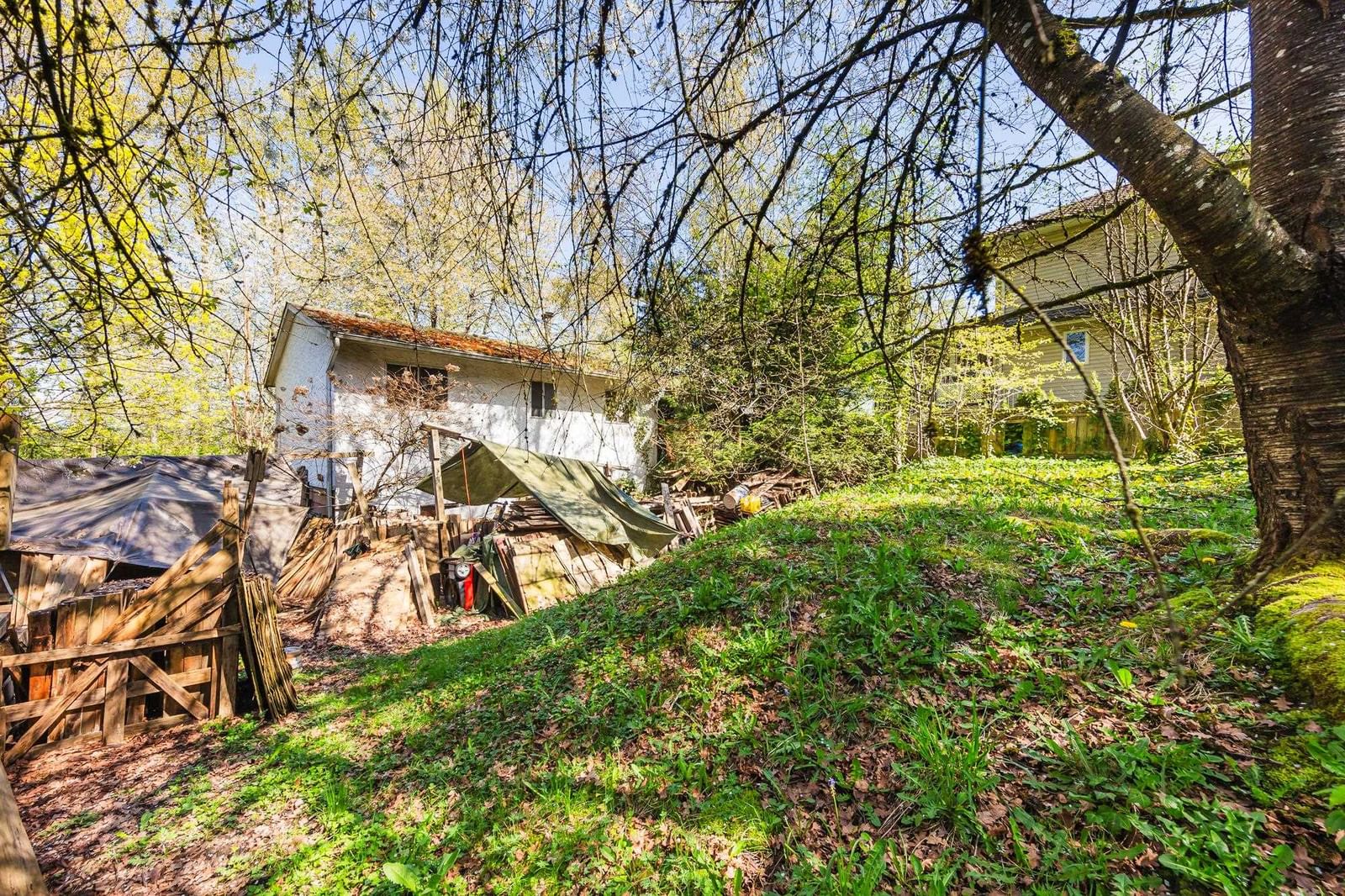 Listing Image 5