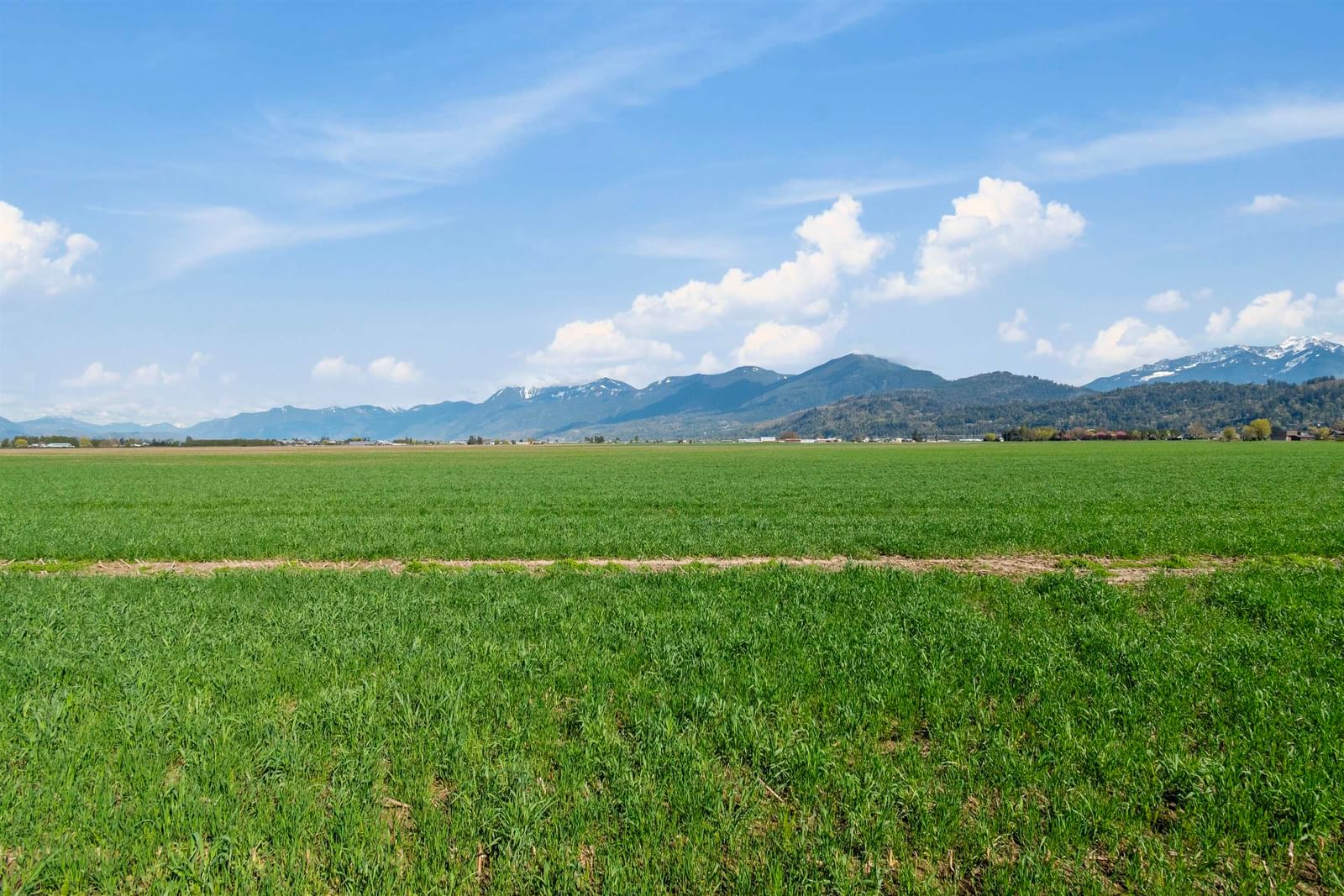Listing Image 30