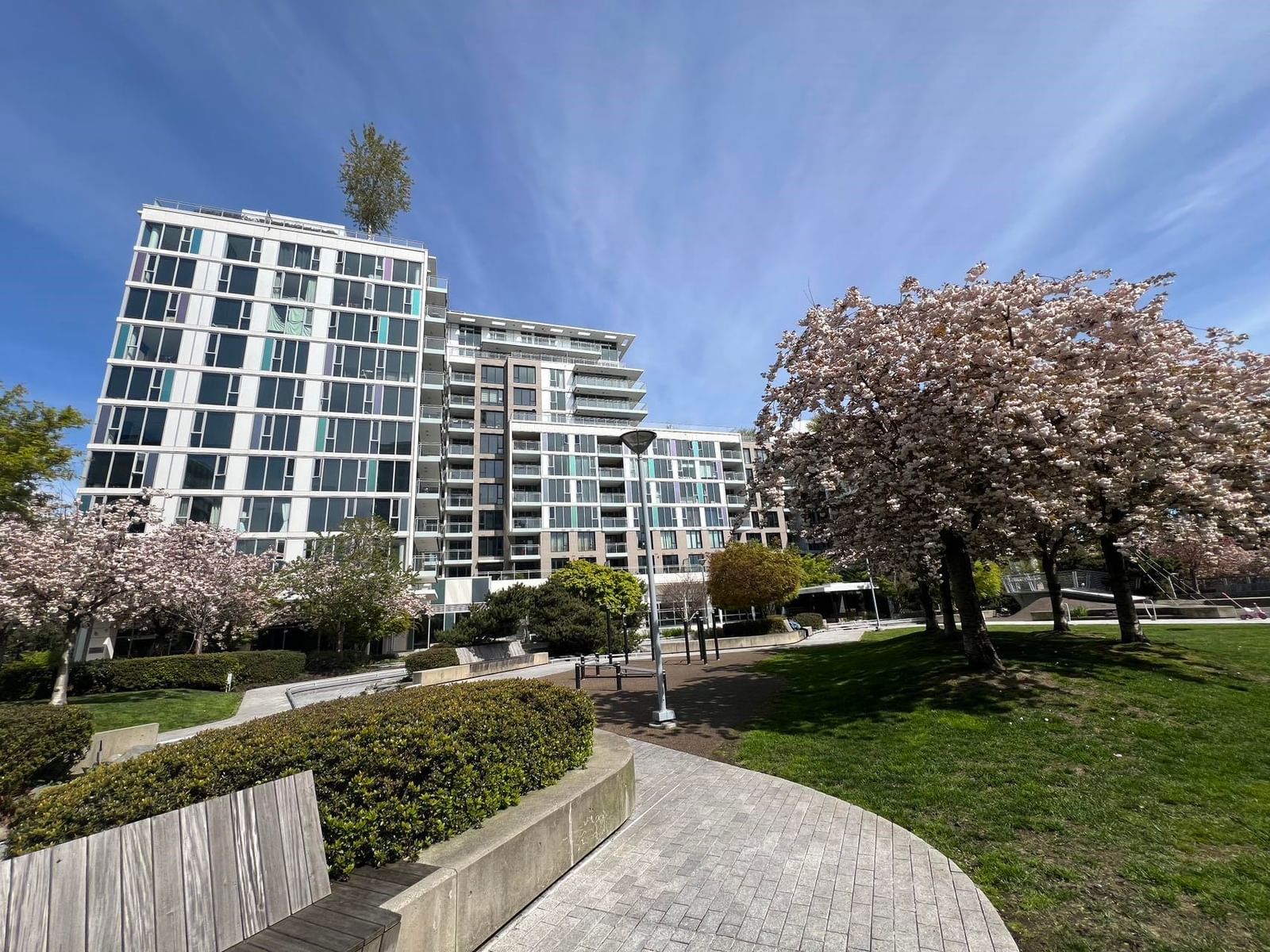 Listing Image 6
