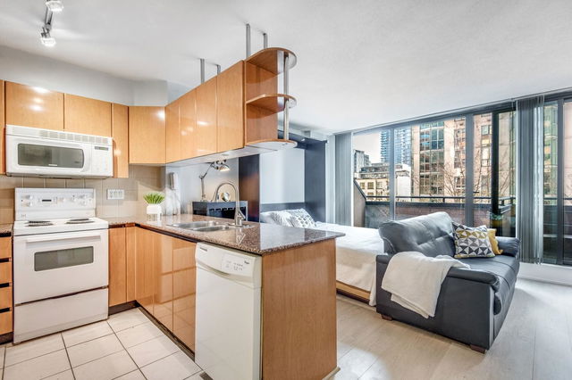 313 - 1189 Howe Street