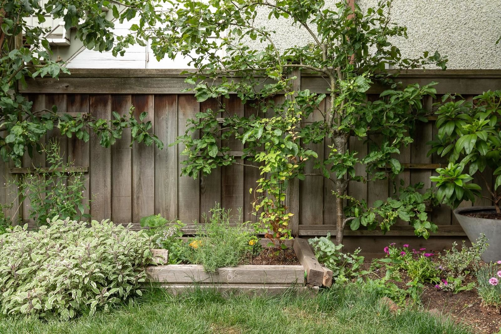 Listing Image 24