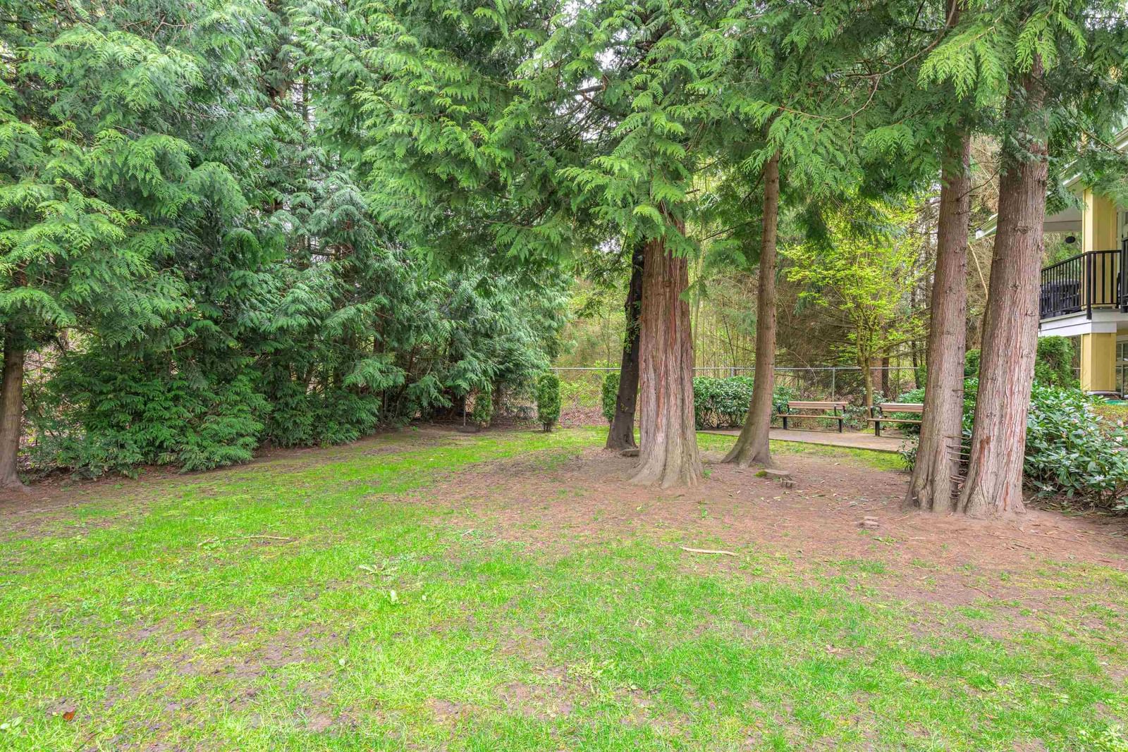 Listing Image 38