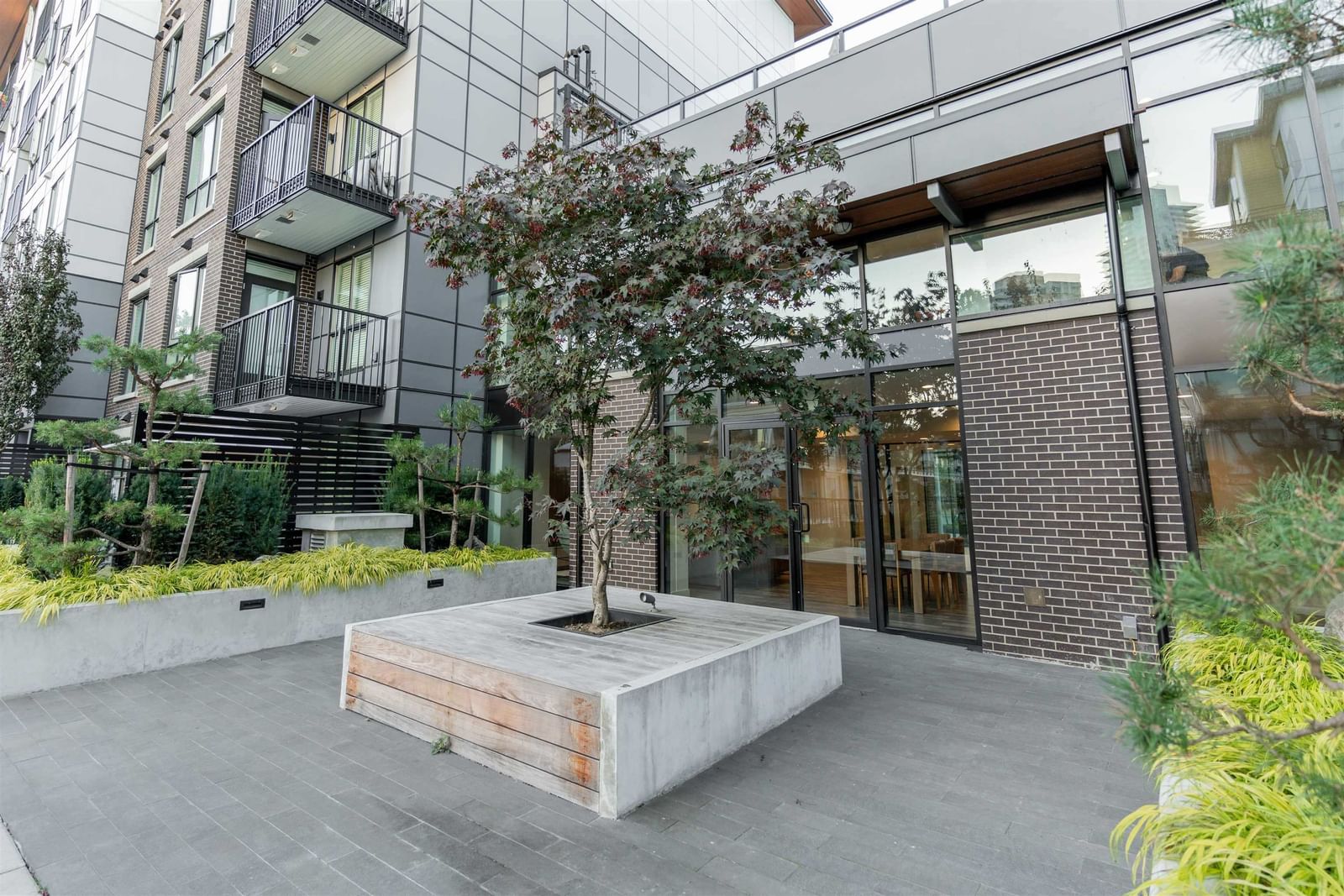 Listing Image 5
