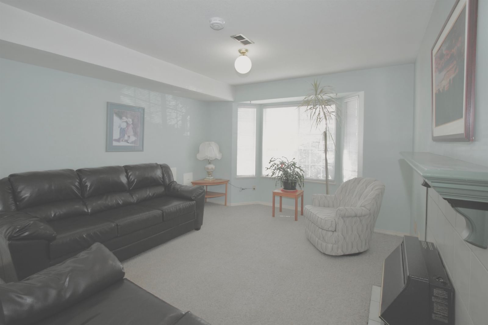Listing Image 28