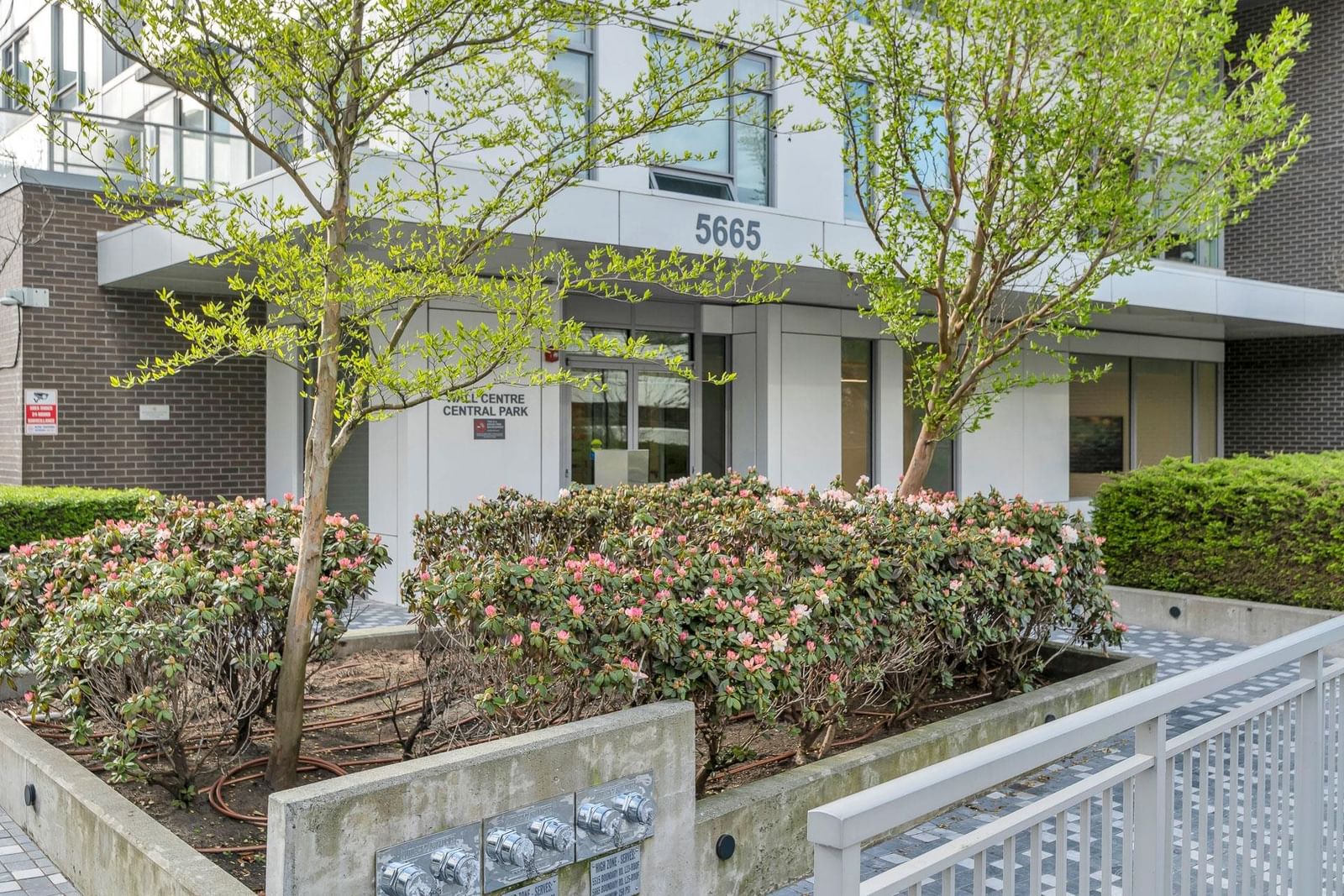 Listing Image 5