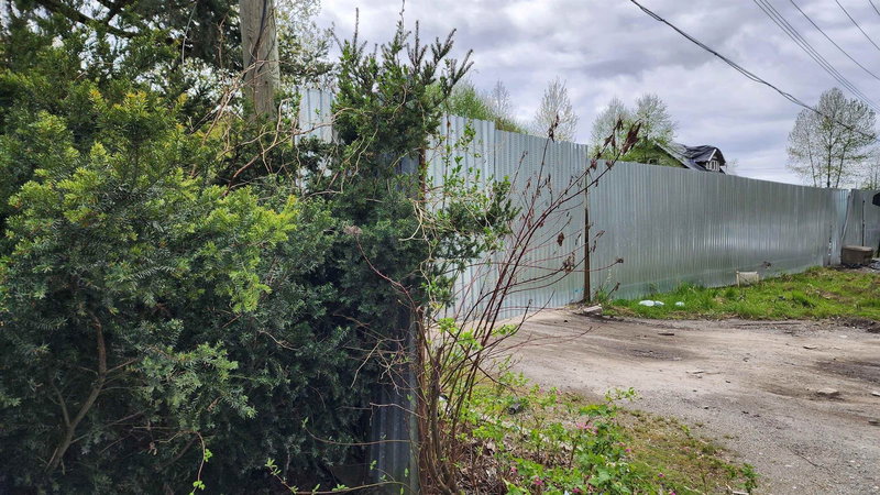 13848 117 Avenue, Surrey, V3R 2V4 | Image 3