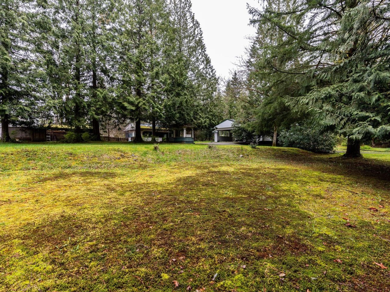 Listing Image 26