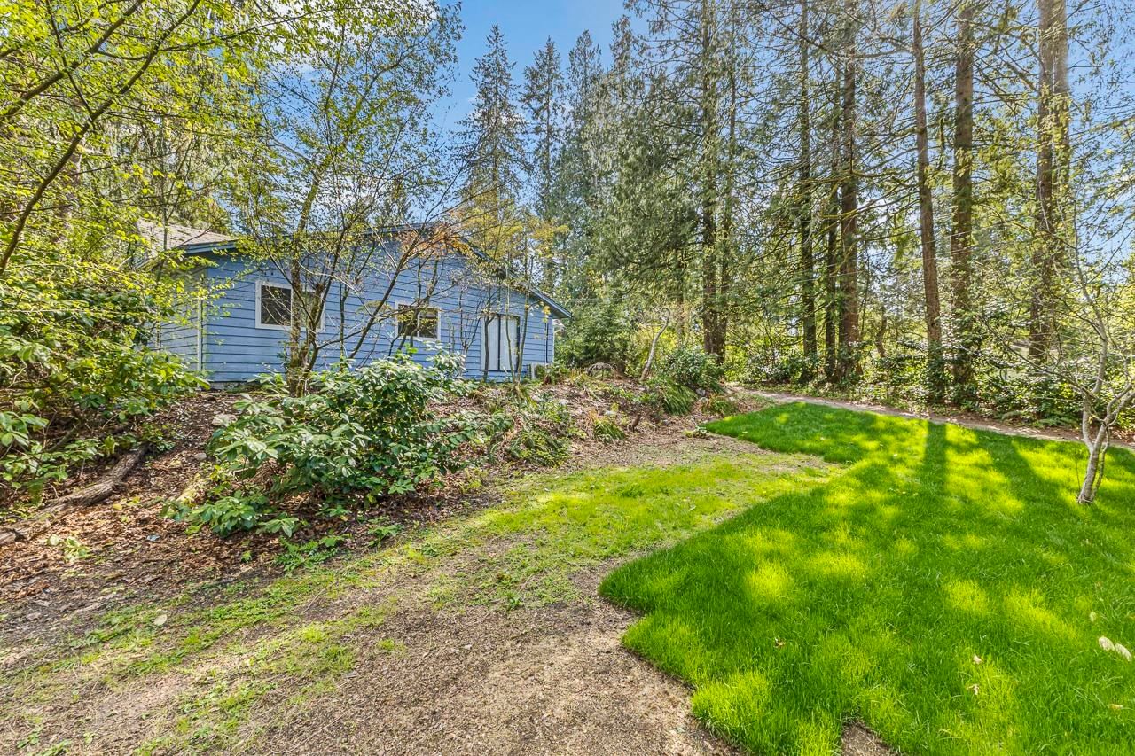 Listing Image 29