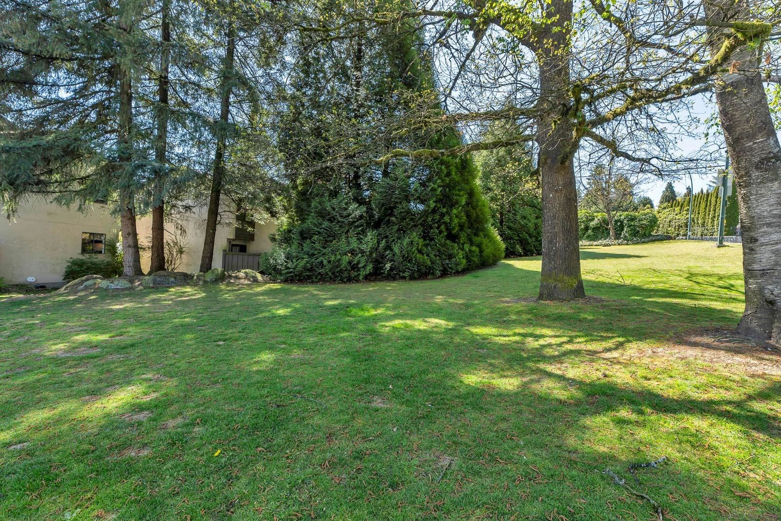 Listing Image 36
