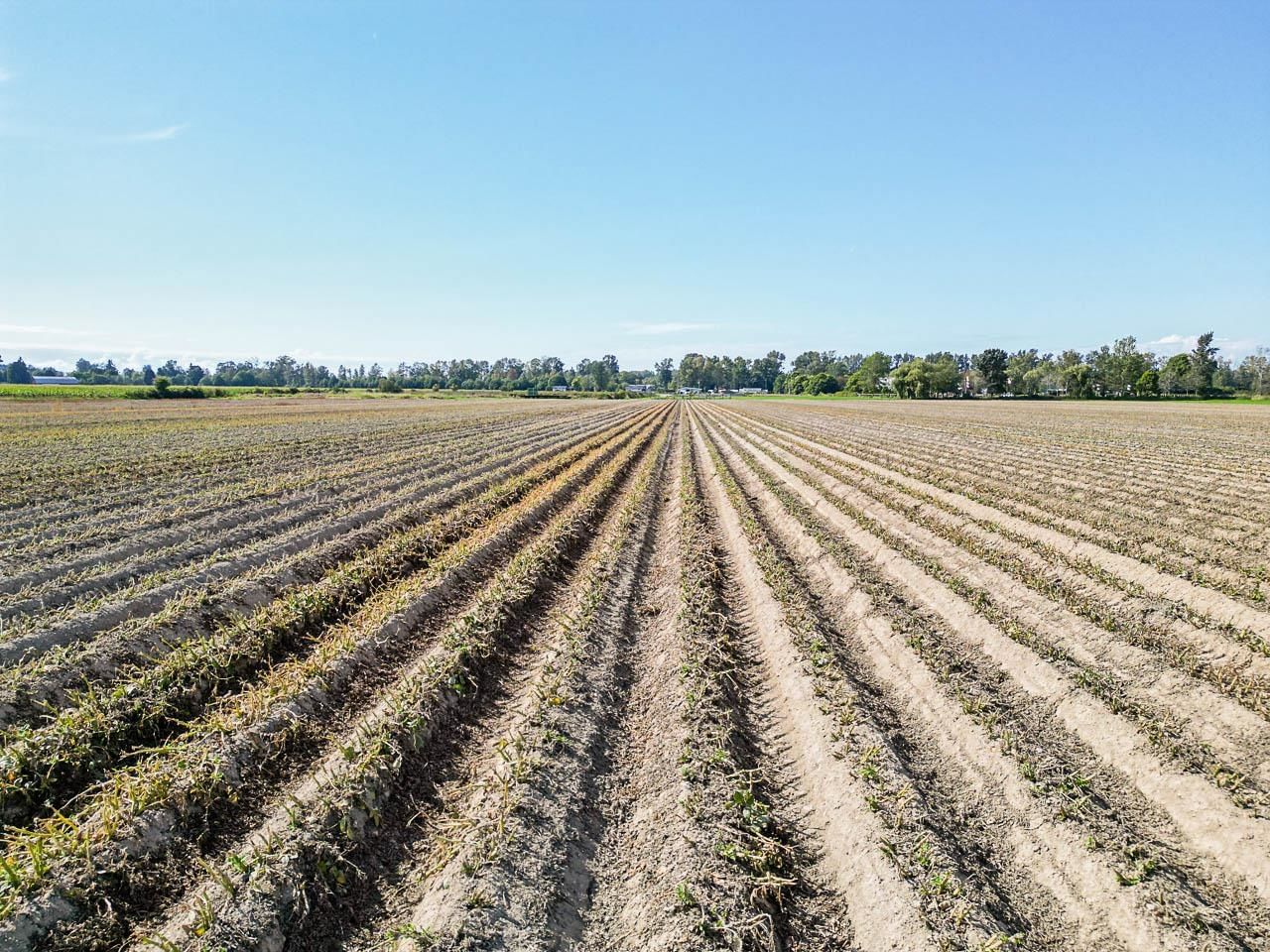 Listing Image 28