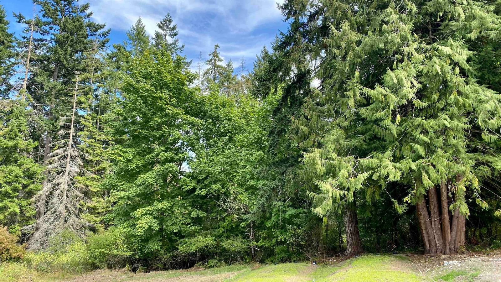 Listing Image 17