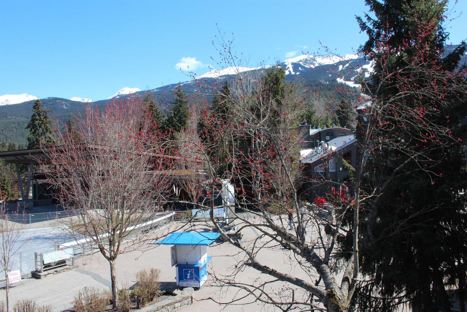 Listing Image 14