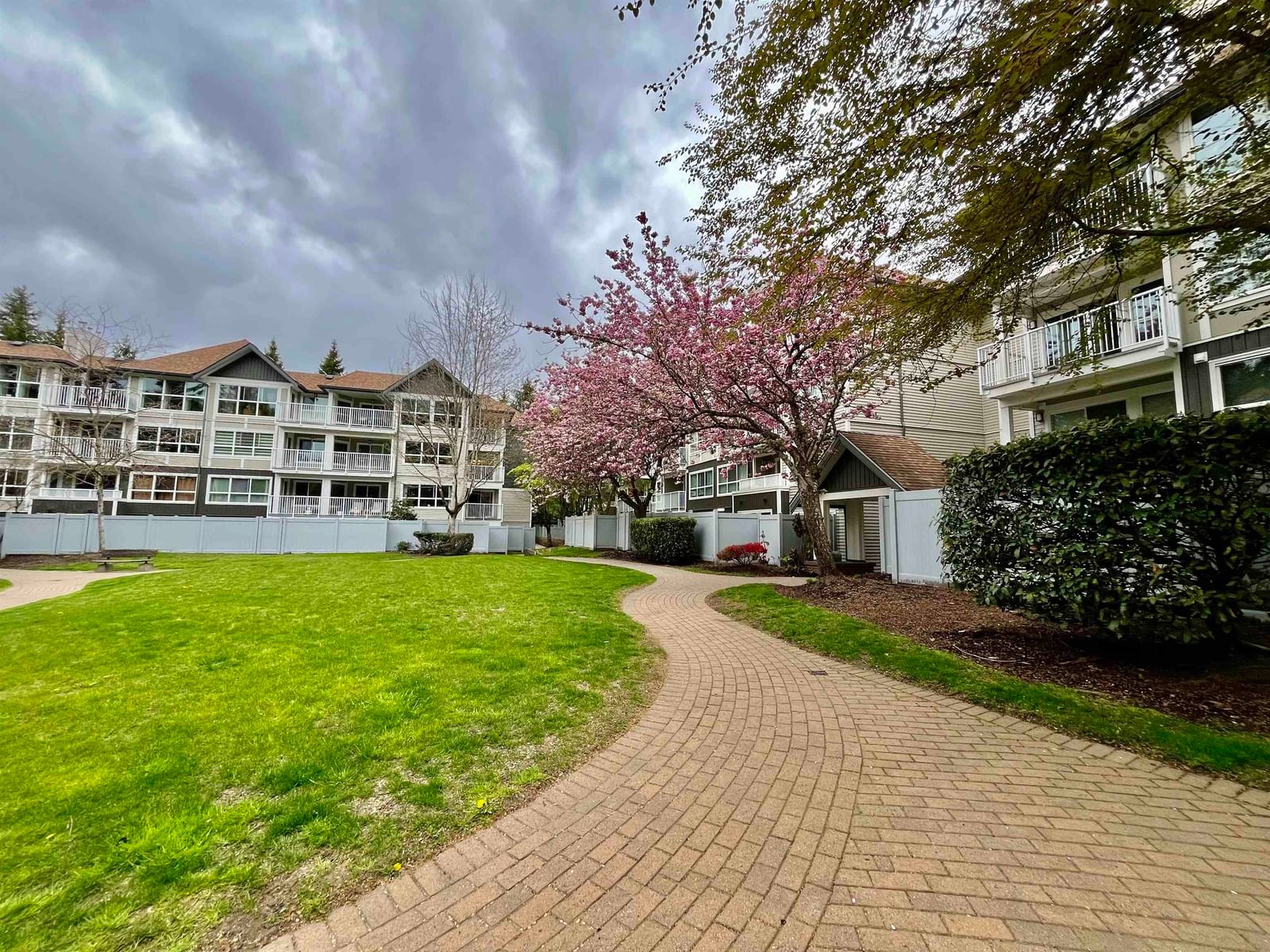 Listing Image 20