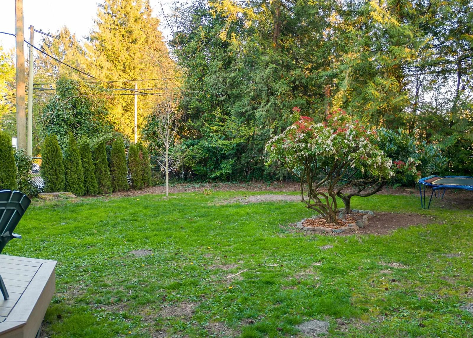 Listing Image 17
