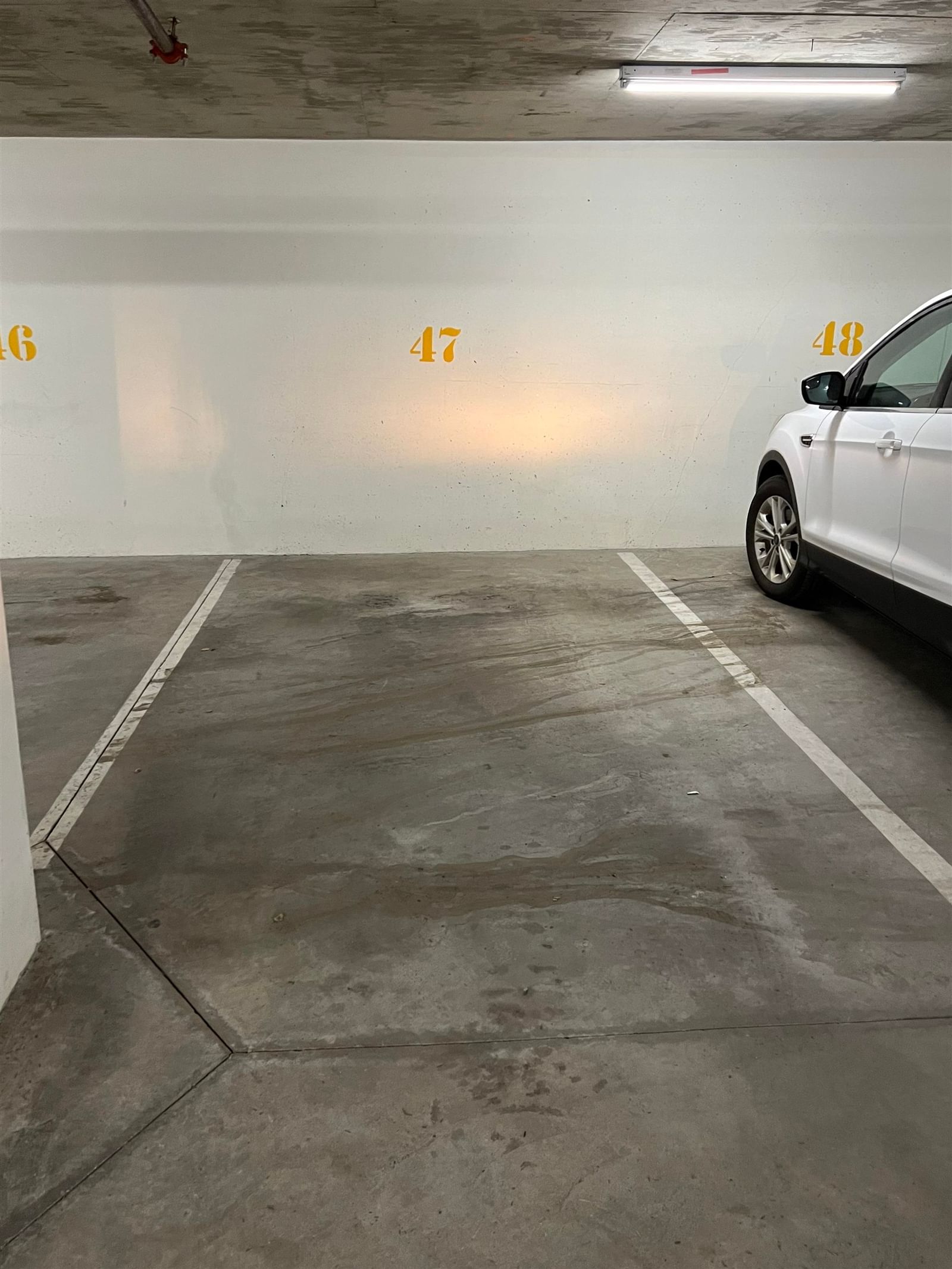 Listing Image 16