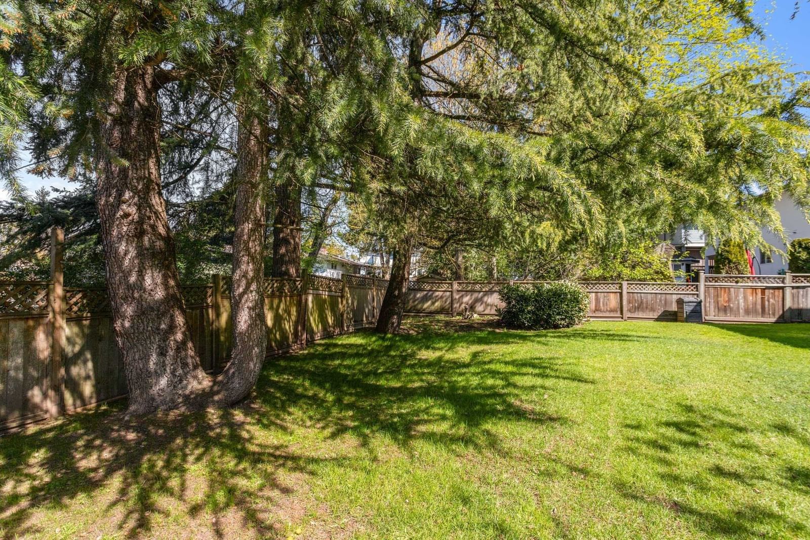 Listing Image 33