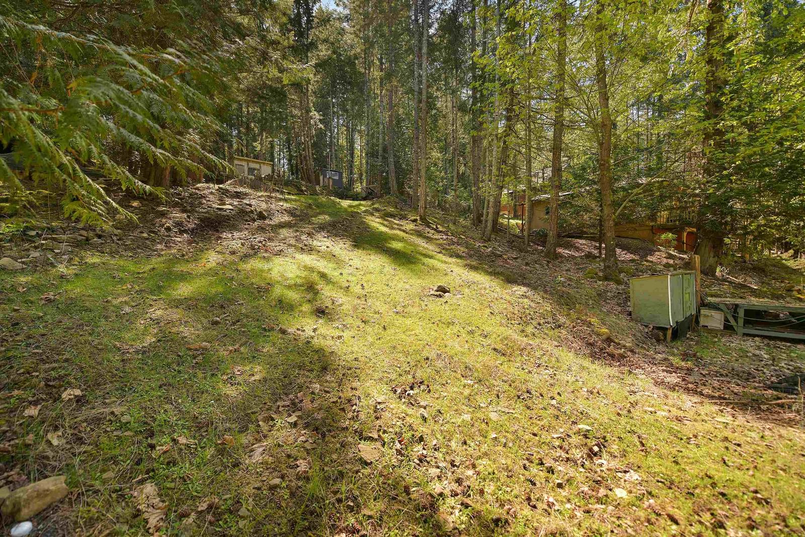 Listing Image 16