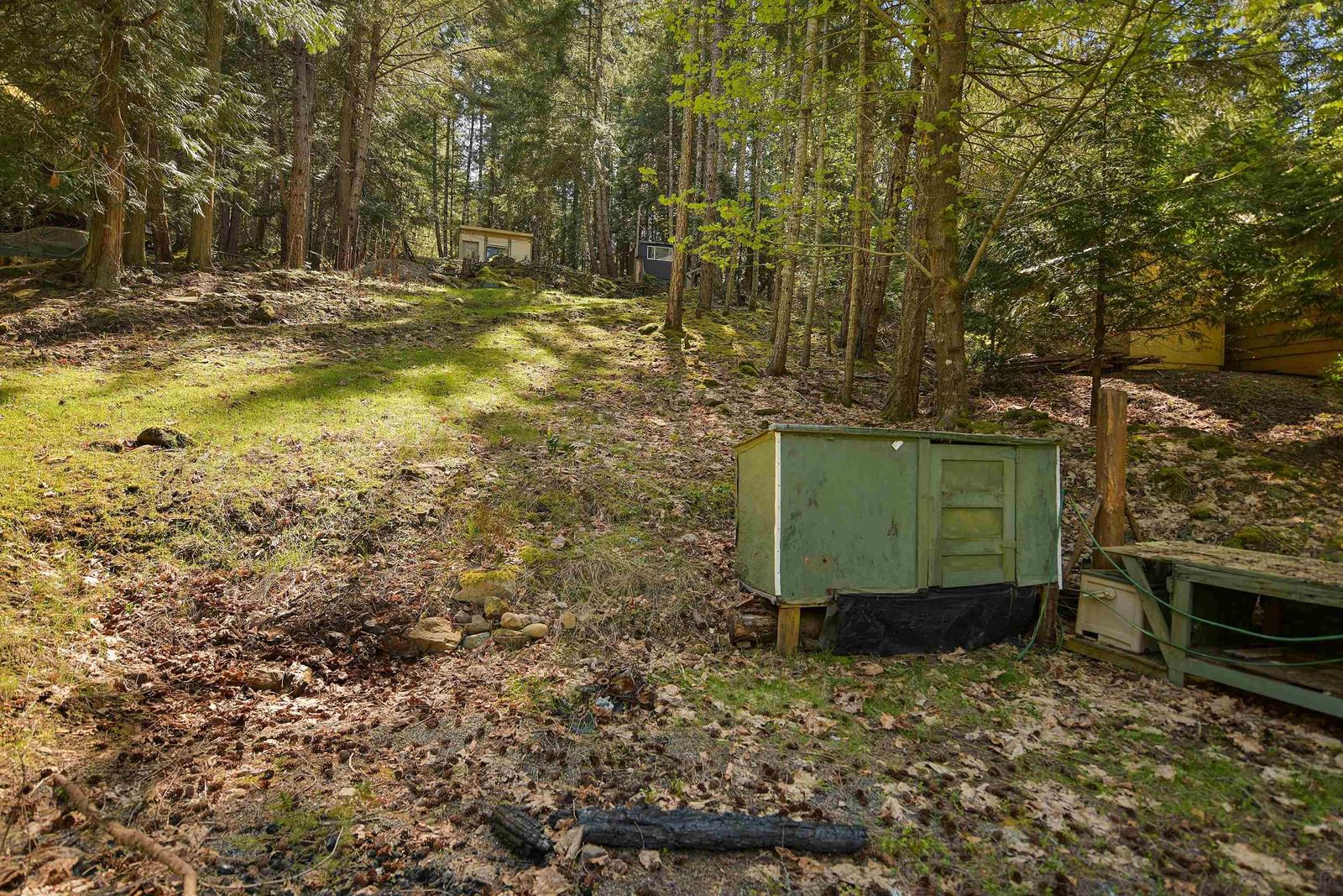 Listing Image 17