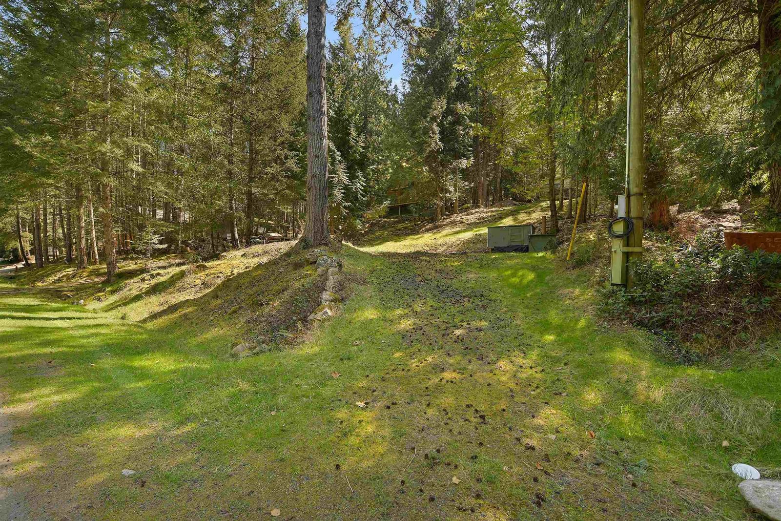 Listing Image 18
