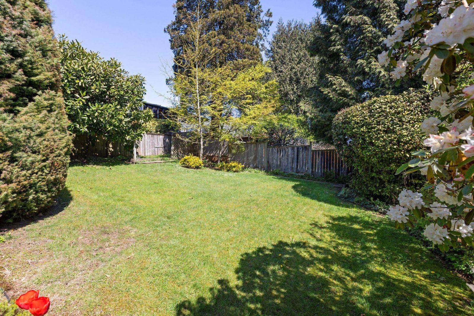 Listing Image 36