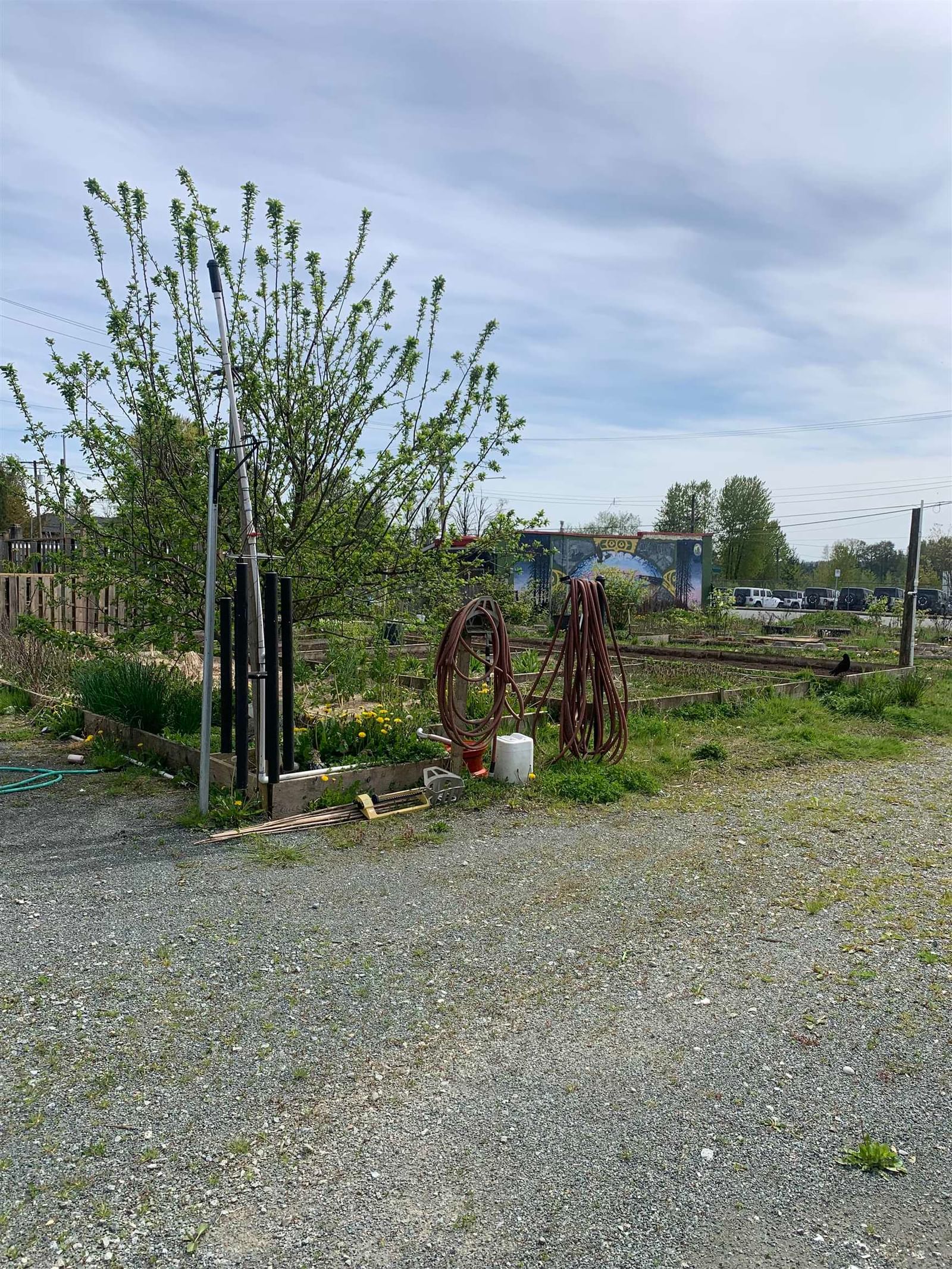 Listing Image 5