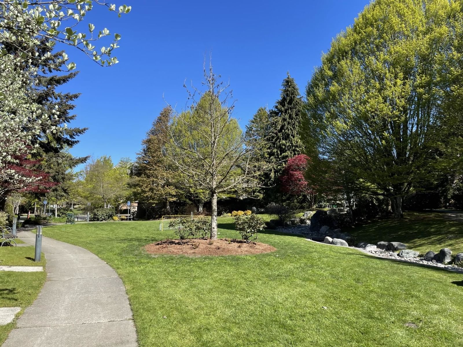 Listing Image 34