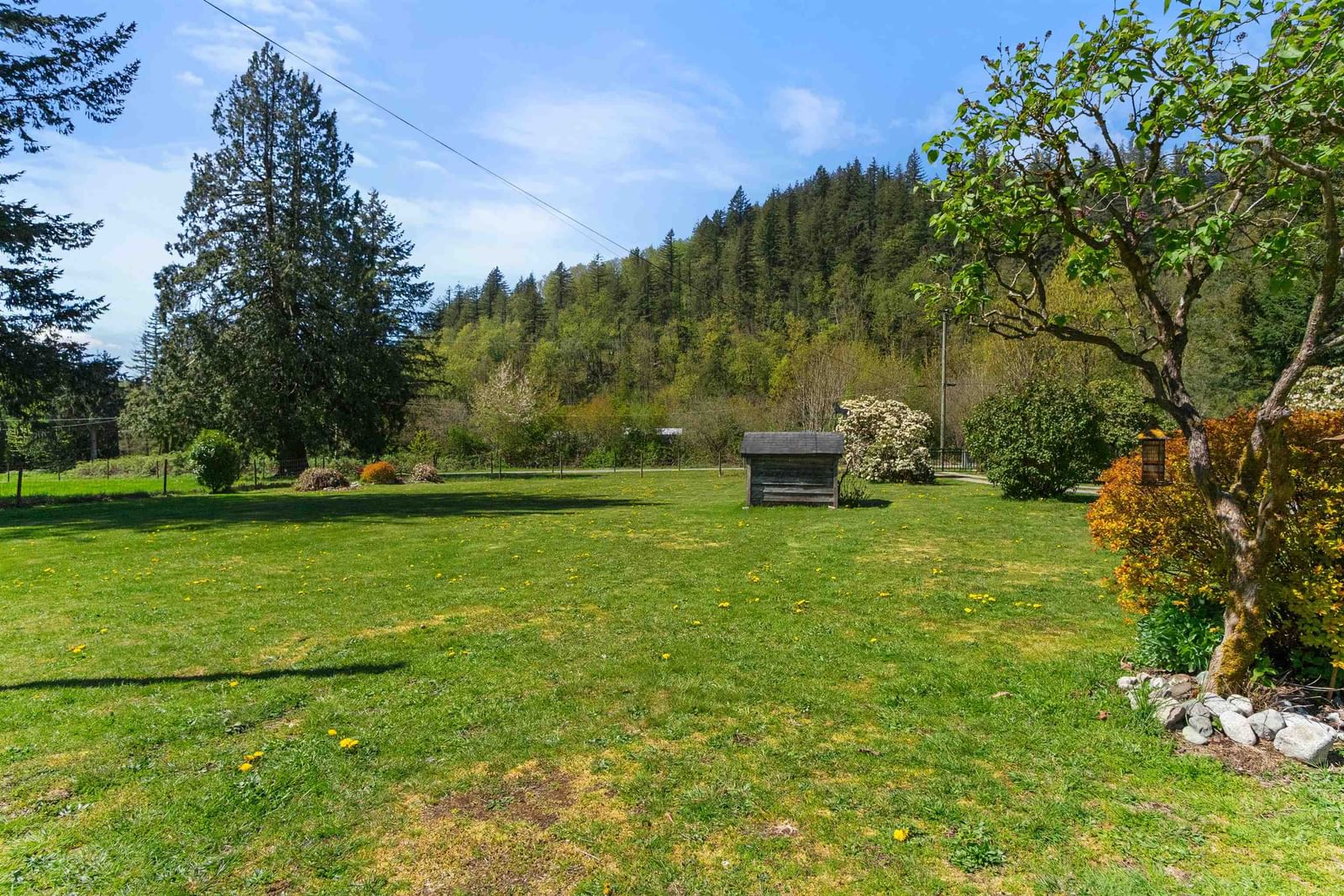 Listing Image 33