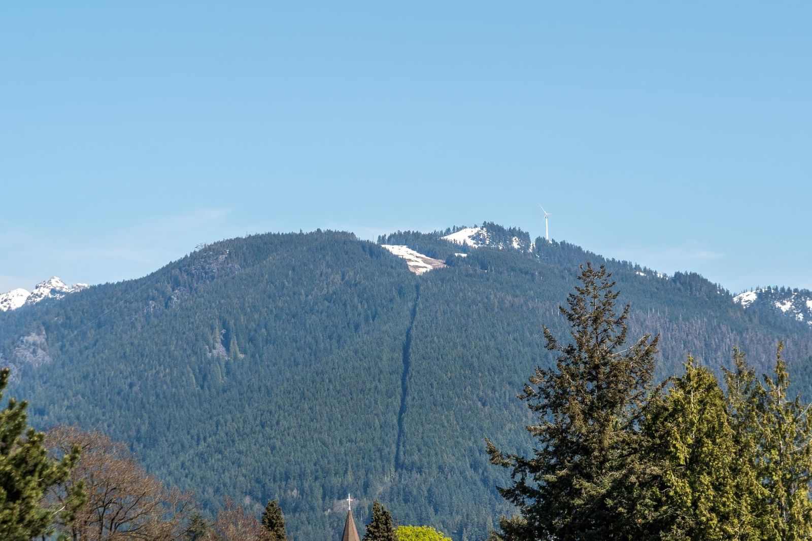 Listing Image 27