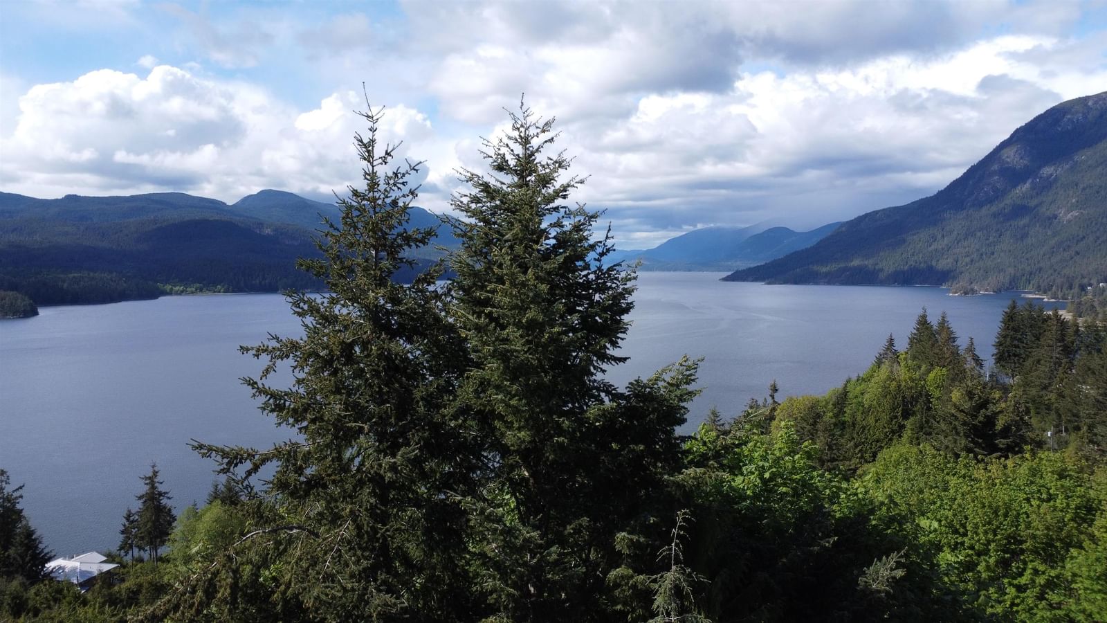 Listing Image 14