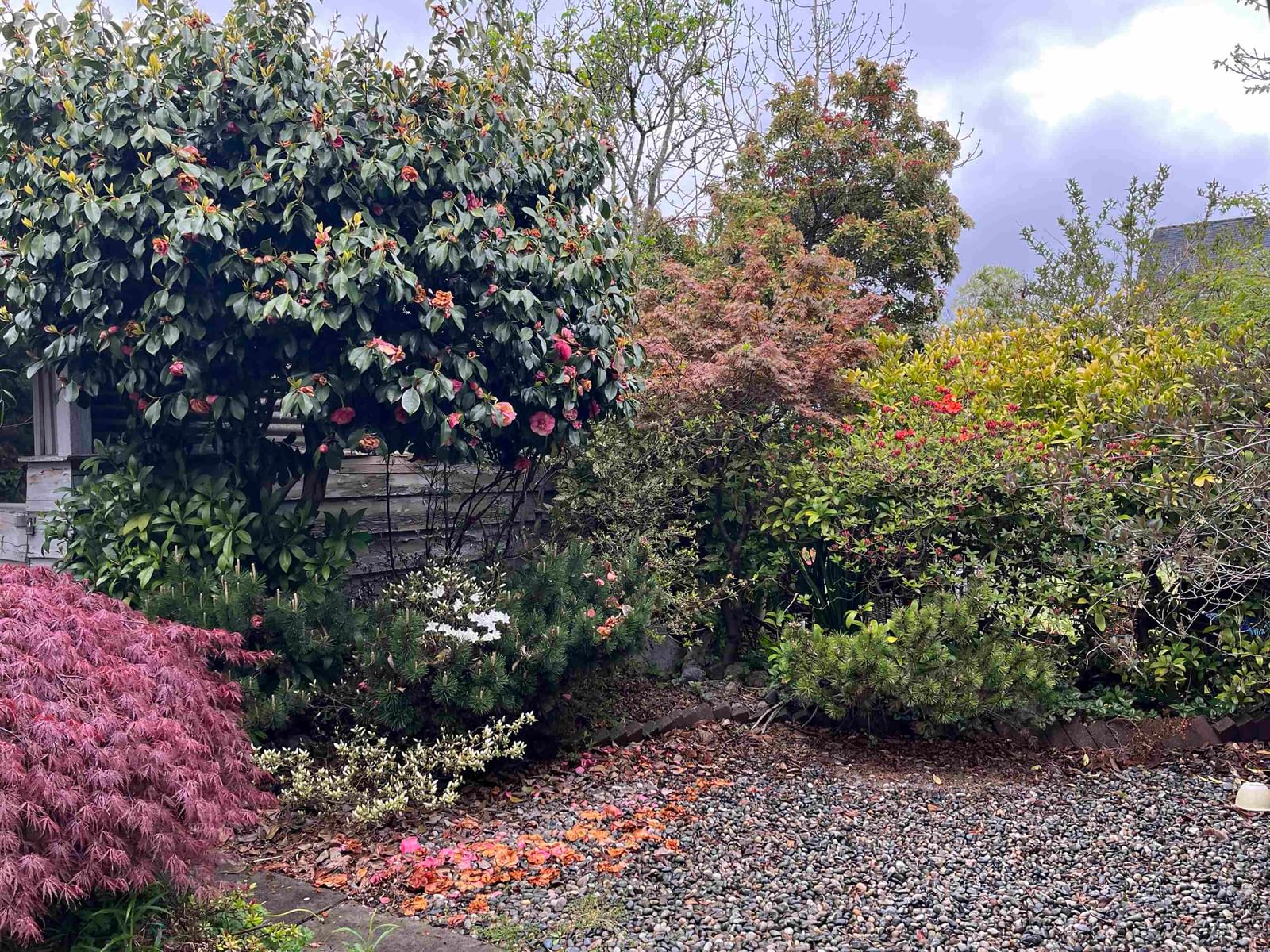 Listing Image 6