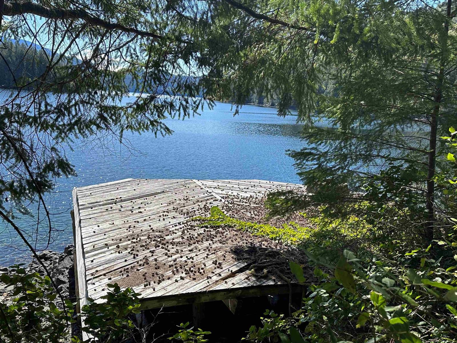 Listing Image 20