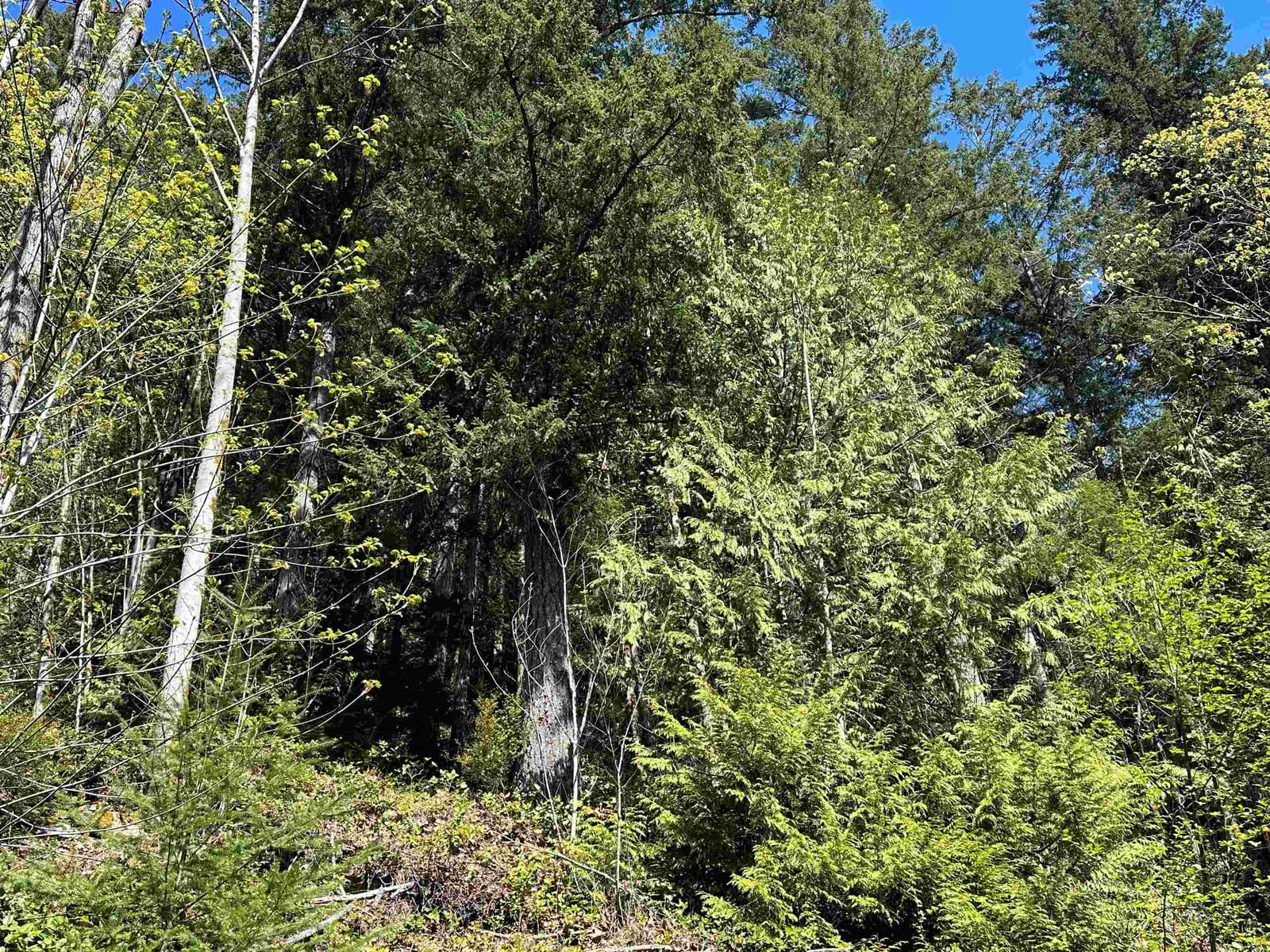 Listing Image 34