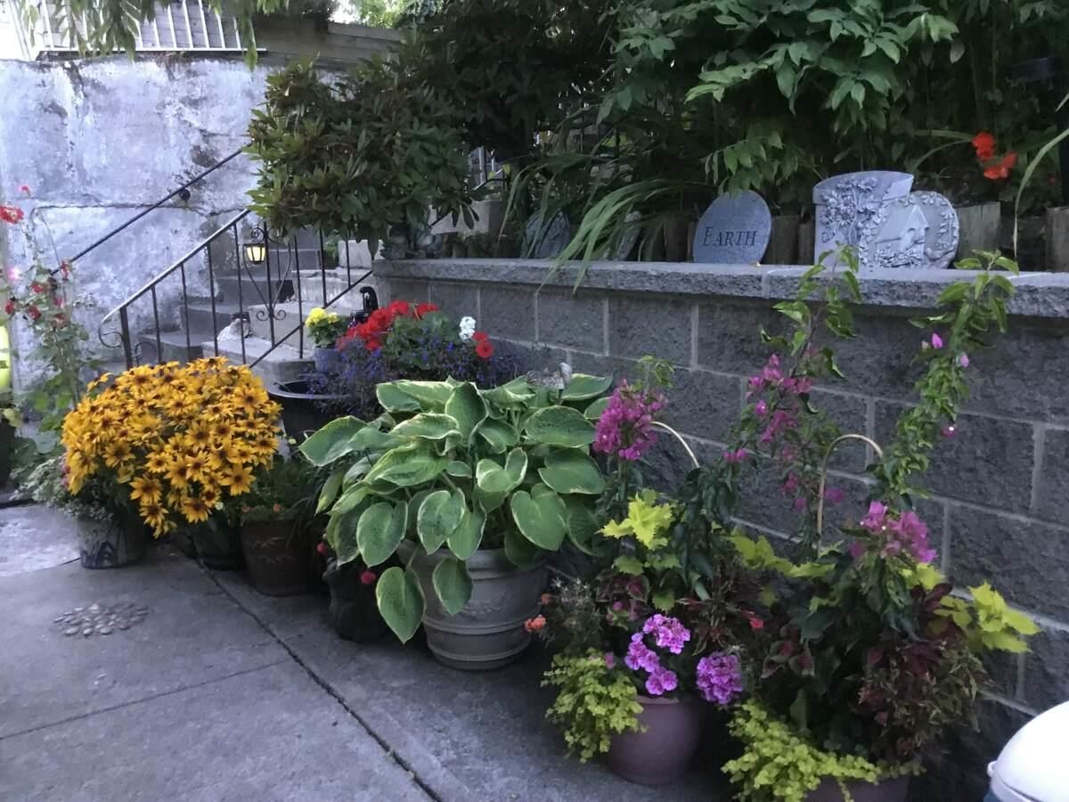 Listing Image 34